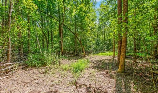 Photo #10 of Alma, Winston-Salem, NC 3.6 acres