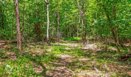 Photo #8 of Alma, Winston-Salem, NC 3.6 acres