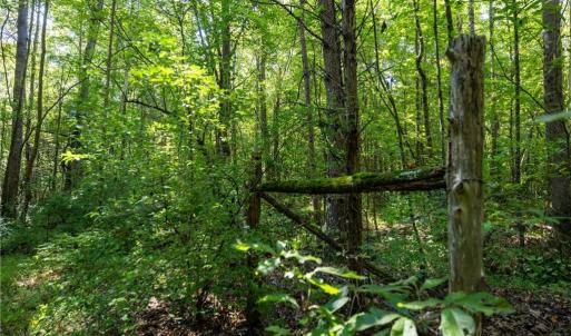 Photo #13 of Old Bradshaw, Salisbury, NC 27.7 acres