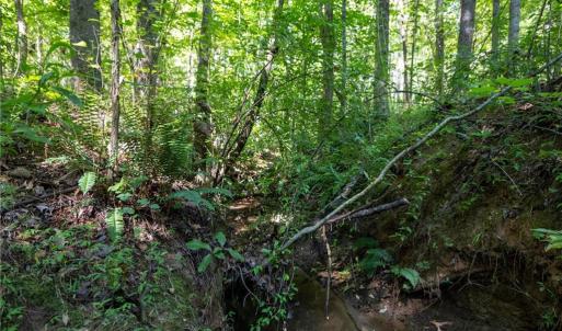 Creek on property