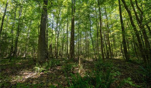 Photo #7 of Old Bradshaw, Salisbury, NC 27.7 acres