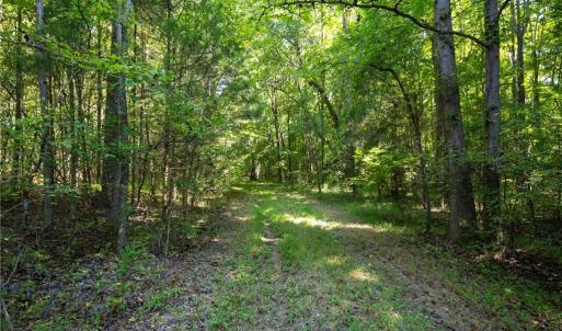 Photo #11 of Old Bradshaw, Salisbury, NC 27.7 acres