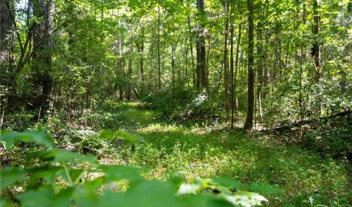 Photo #8 of Old Bradshaw, Salisbury, NC 27.7 acres