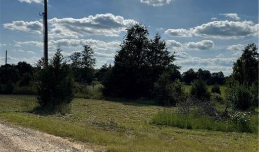 Photo #2 of 4415 Alamance Church, Liberty, NC 18.5 acres