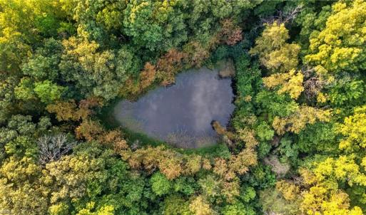 Photo #7 of 4415 Alamance Church, Liberty, NC 18.5 acres