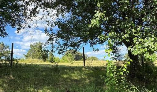 Photo #11 of 4415 Alamance Church, Liberty, NC 18.5 acres
