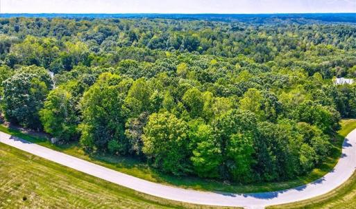 Photo #3 of 7335 Hidden View, Oak Ridge, NC 5.5 acres