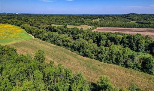 Photo #16 of 1155 Chumney, Eden, NC 40.0 acres