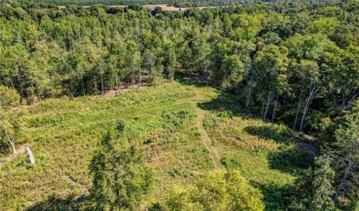 Photo #12 of 1155 Chumney, Eden, NC 40.0 acres