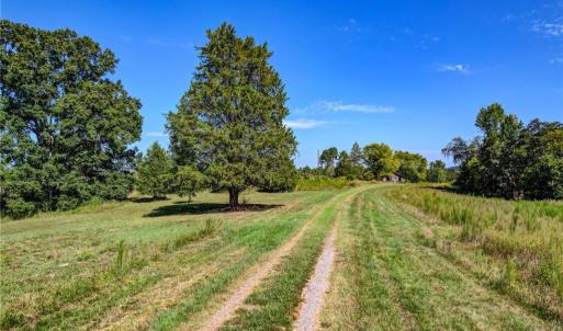 Photo #7 of 1155 Chumney, Eden, NC 40.0 acres