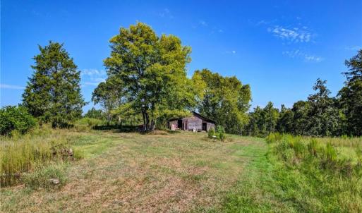 Photo #9 of 1155 Chumney, Eden, NC 40.0 acres