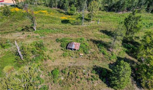 Photo #10 of 1155 Chumney, Eden, NC 40.0 acres
