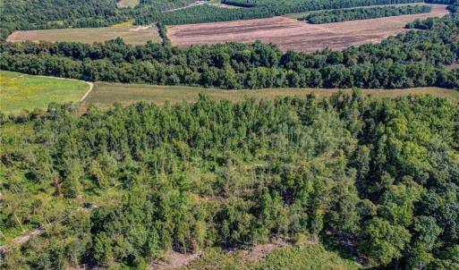 Photo #15 of 1155 Chumney, Eden, NC 40.0 acres