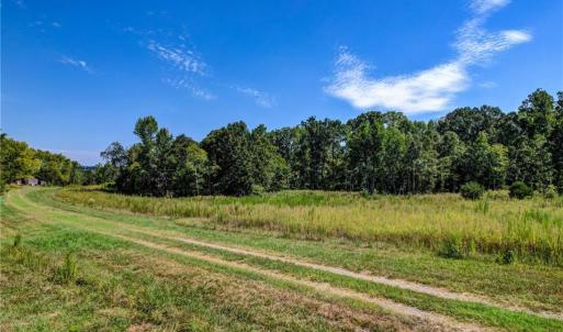 Photo #8 of 1155 Chumney, Eden, NC 40.0 acres