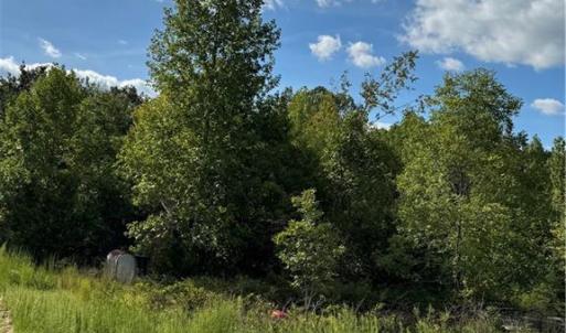 Photo #1 of 4419 Alamance Church, Liberty, NC 15.5 acres