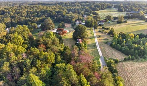 Photo #6 of 4419 Alamance Church, Liberty, NC 15.5 acres