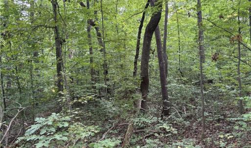 Photo #17 of 3504 Martin, Greensboro, NC 6.1 acres