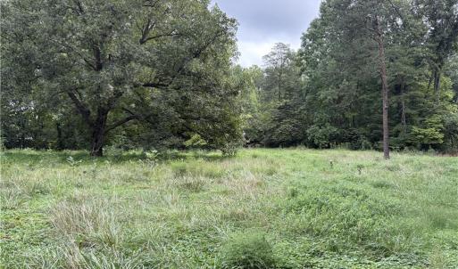 Photo #16 of 3504 Martin, Greensboro, NC 6.1 acres