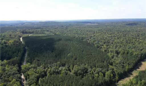 Photo #11 of Chapel Hill Church, Denton, NC 94.6 acres