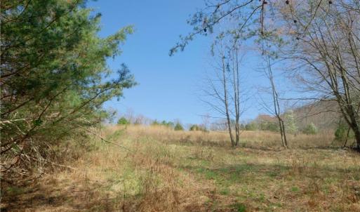 Photo #2 of 7 Old Mill, Pinnacle, NC 13.3 acres
