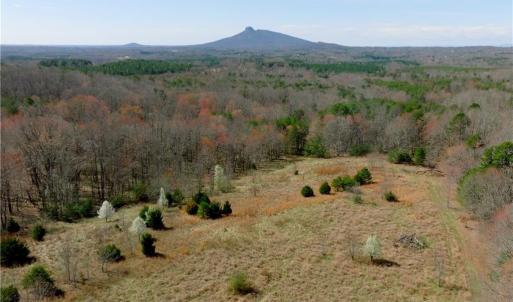 Photo #3 of 7 Old Mill, Pinnacle, NC 13.3 acres