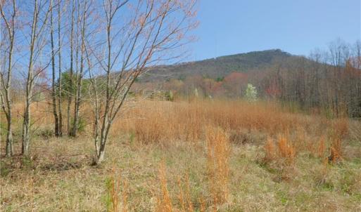 Photo #1 of 7 Old Mill, Pinnacle, NC 13.3 acres