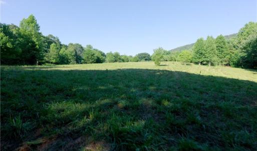 Photo #5 of 7 Old Mill, Pinnacle, NC 13.3 acres