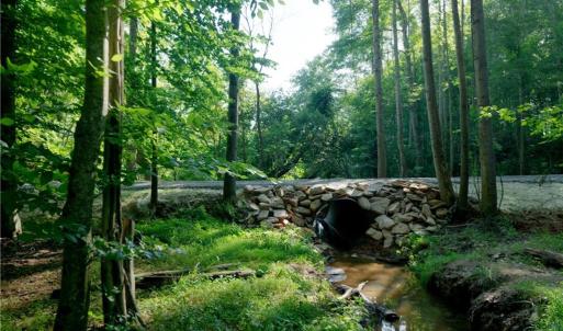 Photo #11 of 7 Old Mill, Pinnacle, NC 13.3 acres