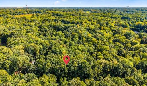Photo #6 of 1782 Kalon, Browns Summit, NC 2.6 acres