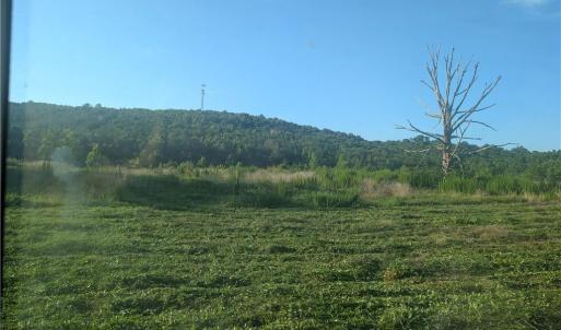 Photo #2 of TBD NC Highway 49, Denton, NC 13.2 acres