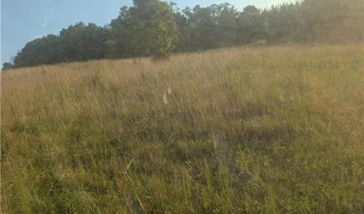 Photo #3 of TBD NC Highway 49, Denton, NC 13.2 acres