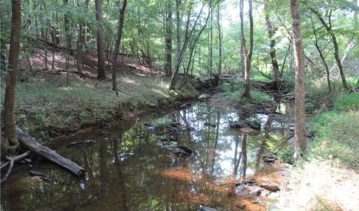 Photo #23 of 2643 Roberts Chapel, Goldston, NC 16.8 acres