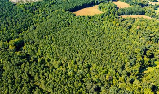Photo #6 of 2643 Roberts Chapel, Goldston, NC 16.8 acres