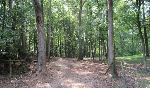 Photo #13 of 2643 Roberts Chapel, Goldston, NC 16.8 acres