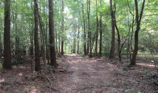 Photo #17 of 2643 Roberts Chapel, Goldston, NC 16.8 acres