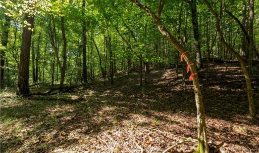 Photo #7 of 2643 Roberts Chapel, Goldston, NC 16.8 acres