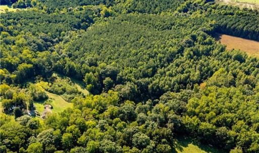 Photo #3 of 2643 Roberts Chapel, Goldston, NC 16.8 acres