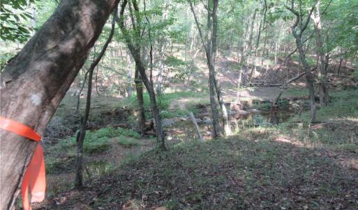 Photo #28 of 2643 Roberts Chapel, Goldston, NC 16.8 acres