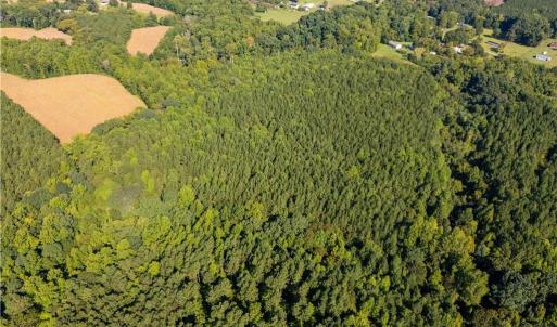 Photo #5 of 2643 Roberts Chapel, Goldston, NC 16.8 acres