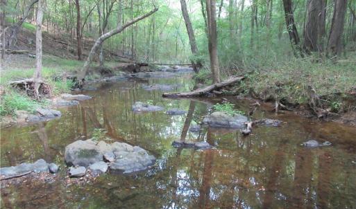 Photo #24 of 2643 Roberts Chapel, Goldston, NC 16.8 acres