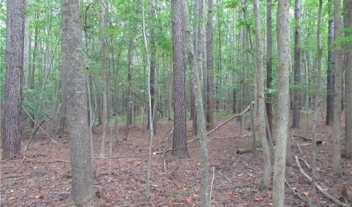 Photo #33 of 2643 Roberts Chapel, Goldston, NC 16.8 acres