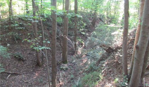 Photo #41 of 2643 Roberts Chapel, Goldston, NC 16.8 acres