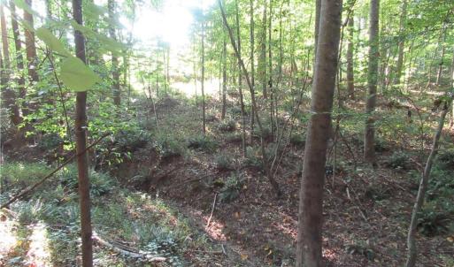 Photo #45 of 2643 Roberts Chapel, Goldston, NC 16.8 acres