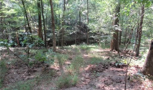 Photo #18 of 2643 Roberts Chapel, Goldston, NC 16.8 acres