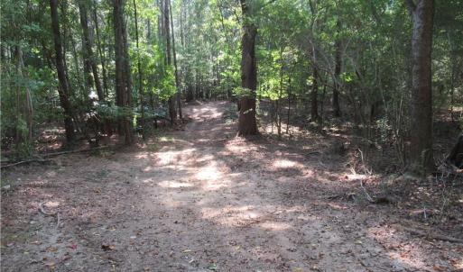 Photo #15 of 2643 Roberts Chapel, Goldston, NC 16.8 acres