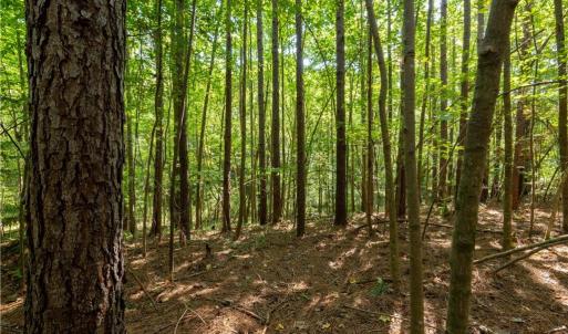 Photo #11 of 2643 Roberts Chapel, Goldston, NC 16.8 acres