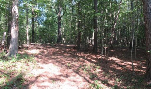 Photo #19 of 2643 Roberts Chapel, Goldston, NC 16.8 acres