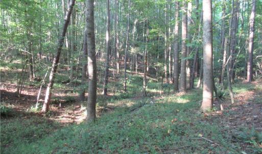 Photo #44 of 2643 Roberts Chapel, Goldston, NC 16.8 acres