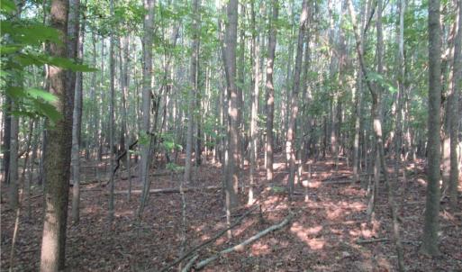 Photo #35 of 2643 Roberts Chapel, Goldston, NC 16.8 acres