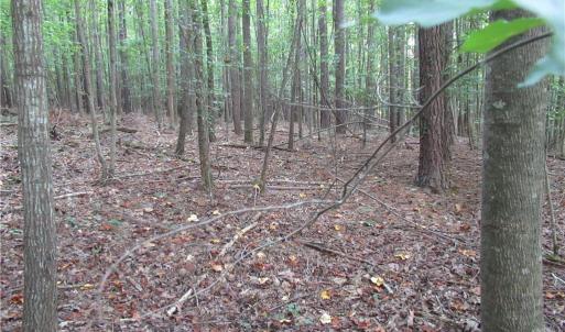Photo #31 of 2643 Roberts Chapel, Goldston, NC 16.8 acres